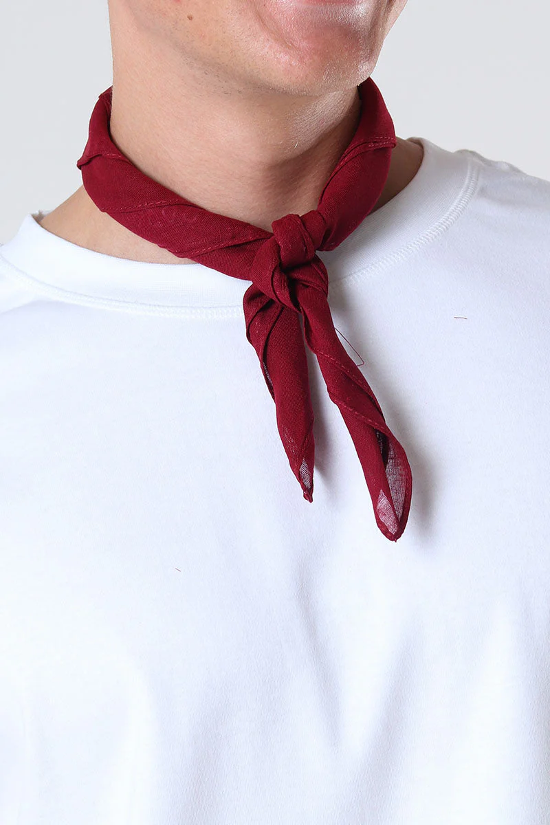 EVERYDAY Filuca Bandana Wine - Image 3