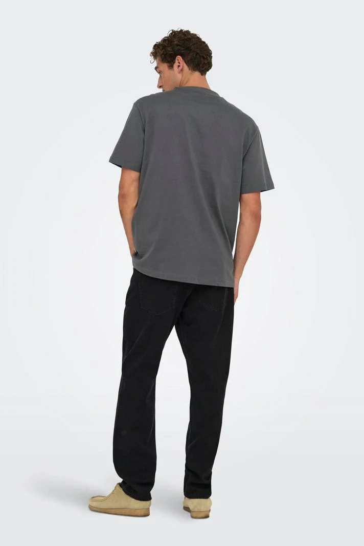 Only & Sons Fred Life Relaxed Fit SS Tee Noos Grey Pinstripe - Image 3